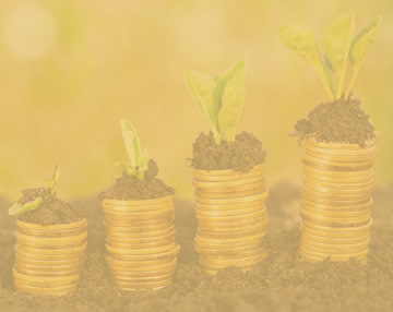 snowflake template image news